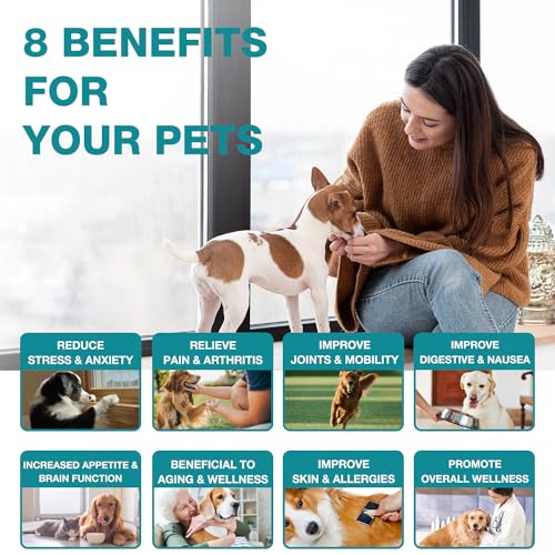 CBD Pet Hemp Oil Joint Pain Anxiety Relief