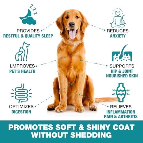 CBD Pet Hemp Oil Joint Pain Anxiety Relief