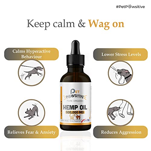 Organic Hemp Oil Drops for Pet Hip & Joint Support