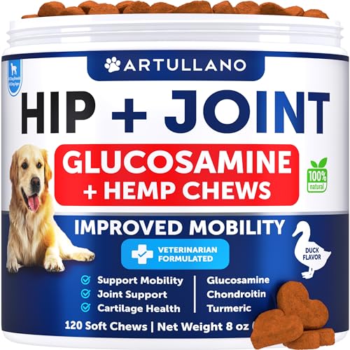 USA-made Hemp Hip & Joint Supplement: Glucosamine Chews