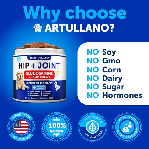 USA-made Hemp Hip & Joint Supplement: Glucosamine Chews