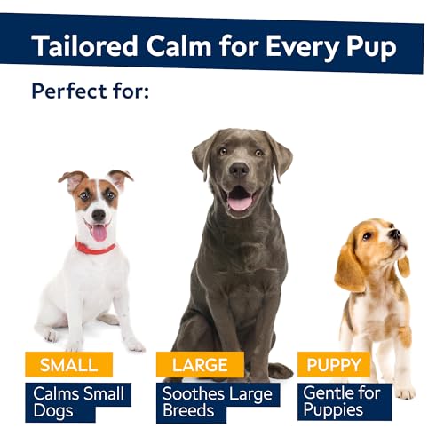 Dog Hemp Calming Chews for Anxiety Relief - 120