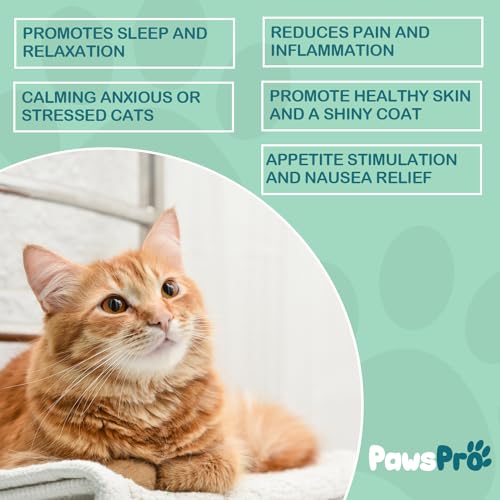 PawsPro Hemp Oil for Pets - Anxiety, Pain Relief