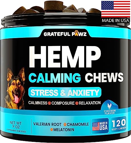 CBD Calming Chews Treats for Dog Anxiety Relief