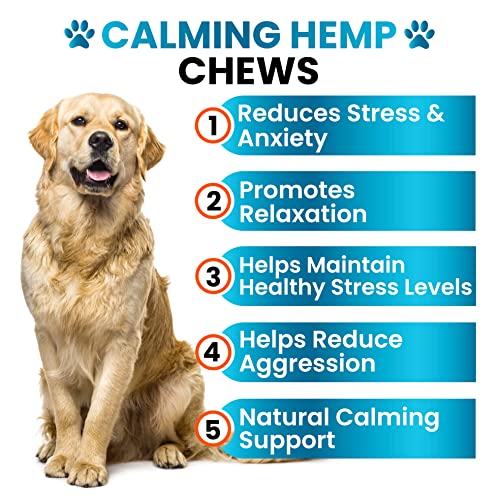 CBD Calming Chews Treats for Dog Anxiety Relief