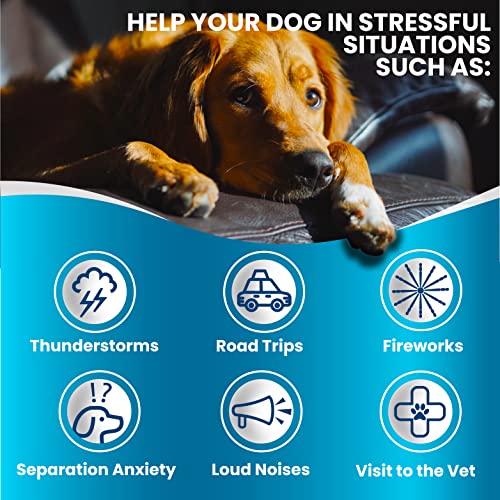 CBD Calming Chews Treats for Dog Anxiety Relief