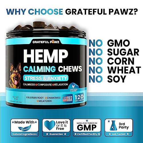 CBD Calming Chews Treats for Dog Anxiety Relief