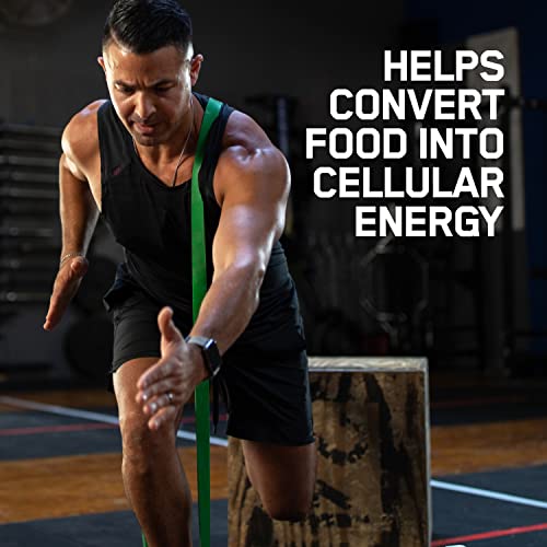 Zinc & Magnesium Supplement for Muscle Recovery & Endurance