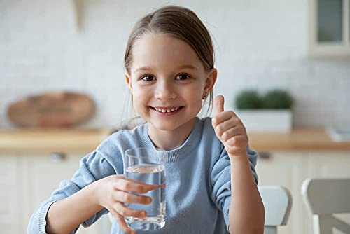 Stainless Steel Countertop Water Purifier Filter