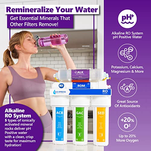 Reverse Osmosis Alkaline Water Filter System