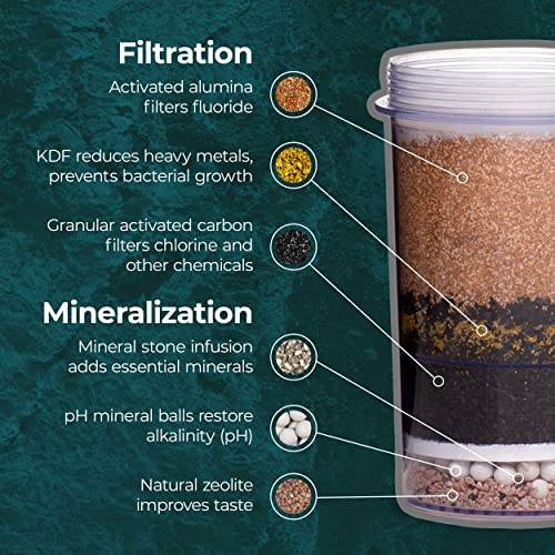 Santevia Gravity Water System Alkaline and Fluoride Filter | at Home Water Filter That Makes Water Alkaline and Adds Minerals | Chlorine and Fluoride Filter (Countertop Model)