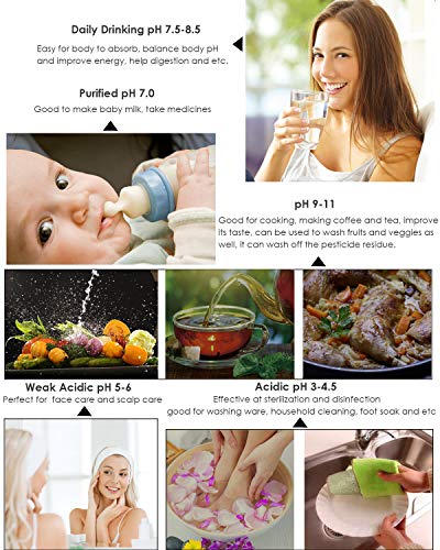 Alkaline Water Ionizer with Filter & ORP