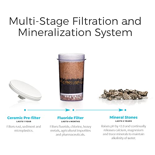 Santevia Gravity Water System Alkaline and Fluoride Filter | at Home Water Filter That Makes Water Alkaline and Adds Minerals | Chlorine and Fluoride Filter (Countertop Model)