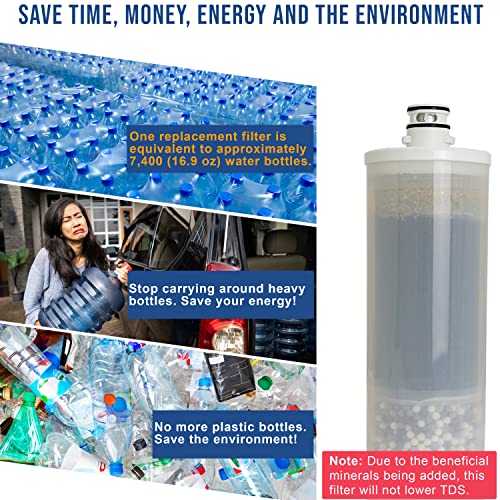 APEX EXPRT MR-1060 Countertop Water Filter, 5 Stage Mineral pH Alkaline Water Filter, Easy Install Faucet Water Filter - Reduces Heavy Metals, Bad Taste and Up to 99% of Chlorine