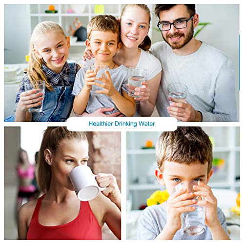 APEX MR-1050 Countertop Water Filter, 5 Stage Mineral pH Alkaline Water Filter, Easy Install Faucet Water Filter - Reduces Heavy Metals, Bad Taste and Up to 99% of Chlorine - Black