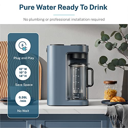 Bluevua Portable Countertop RO Water Filter System