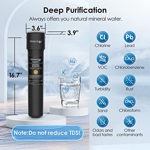 Under Sink Water Filter System with 2-Year Capacity