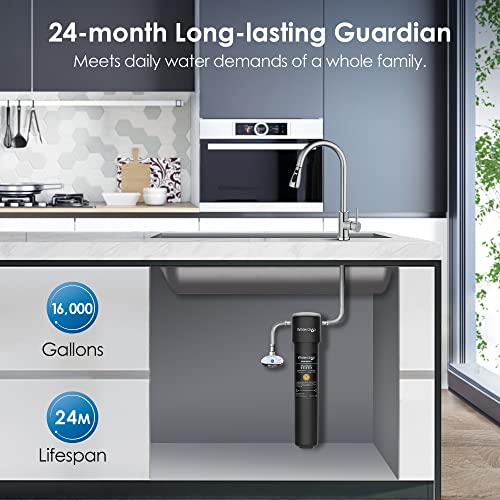 Under Sink Water Filter System with 2-Year Capacity