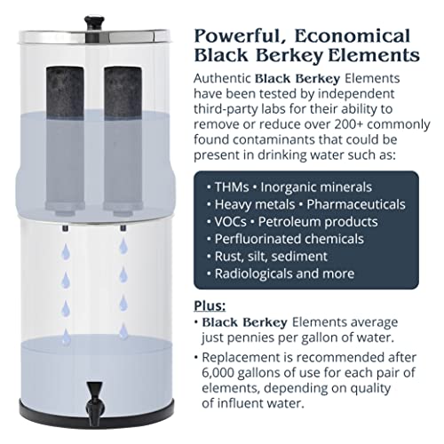 Crown Berkey Water Filter Combo for Home Use