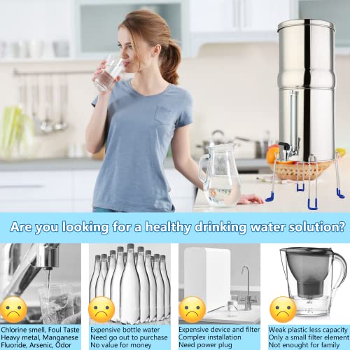 Stainless Steel Water Purifier with 2 Filters
