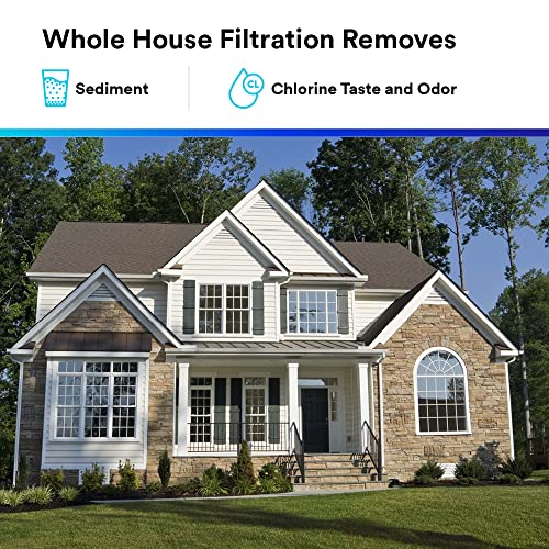 Sanitary Whole House Water Filter - AP903