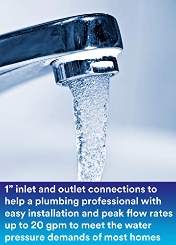 Sanitary Whole House Water Filter - AP903