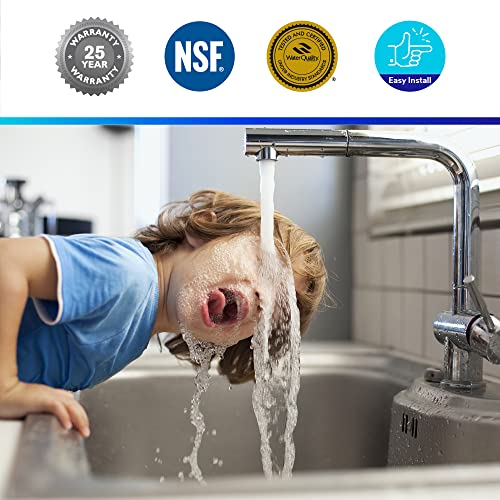 Aqua-Pure Sanitary Water Filter System - AP902