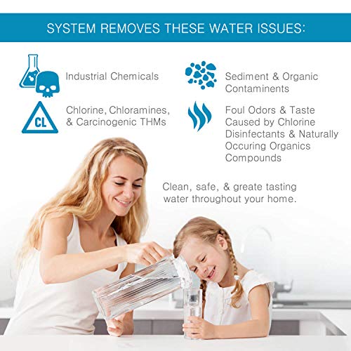 Premier Water Systems Whole House Filter System