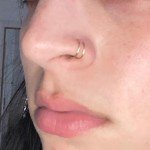 Double Twist Nose Rings – Stainless Steel Set
