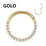 Titanium Hoop with CZ for Body Piercings