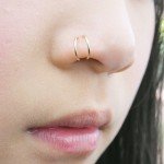 Stainless Steel Double Layer Spiral Nose Ring