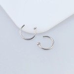 2/6 Pcs Stainless Steel Nose & Lip Rings