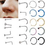 22 Pcs Punk Fake Nose Ring Earrings Set