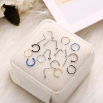 22 Pcs Punk Fake Nose Ring Earrings Set