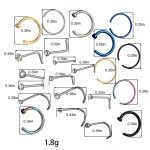 22 Pcs Punk Fake Nose Ring Earrings Set