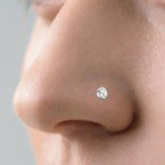 28-Piece Stainless Steel Nose Ring Set