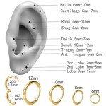 Gold Hoop Earrings Set - 4 Pairs for Everyone