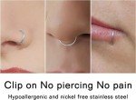 D.Bella 20G Faux Piercing Hoop Nose Ring Set