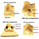 Seamless Silver Septum Clicker Ring 8mm