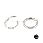 Titanium Hinged Segment Nose Ring and Clicker