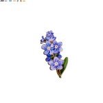 Forget-Me-Not Hard Enamel Pin Spring Flower Brooch Gifts for Floral Lovers Botan