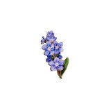 Forget-Me-Not Hard Enamel Pin Spring Flower Brooch Gifts for Floral Lovers Botan