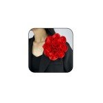 Dainty Satin Fabric Rose Flower Brooches Lapel Pins Delicate Elegant Silk Camellia Flower Oversized Brooch Pin for Women (Red)