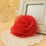 Lovely Rose Brooches and Floral Hair Clips - Decorative Accessories for Women | Hat Pins and Red Brooch Included