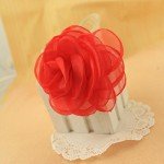 Lovely Rose Brooches and Floral Hair Clips - Decorative Accessories for Women | Hat Pins and Red Brooch Included