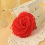 Lovely Rose Brooches and Floral Hair Clips - Decorative Accessories for Women | Hat Pins and Red Brooch Included