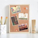 MIKIMIQI 30 Pcs Forest Animals Push Pins, Resin Squirrel Fox Owl Mushroom Push Pins Decorative Animal Thumb Tacks Cork Board Thumbtacks for Bulletin Board Photos Wall Pins Office Supplies