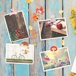 MIKIMIQI 30 Pcs Forest Animals Push Pins, Resin Squirrel Fox Owl Mushroom Push Pins Decorative Animal Thumb Tacks Cork Board Thumbtacks for Bulletin Board Photos Wall Pins Office Supplies