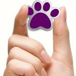 Purple Animal Paw Print School Mascot Enamel Lapel Pin
