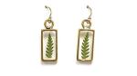 Fern Leaf Earrings with 14k Gold Filled Wire